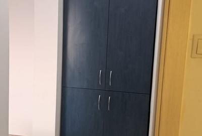 Apartament cu 2 camere semidecomandat, mobilat în Tineretului - 8