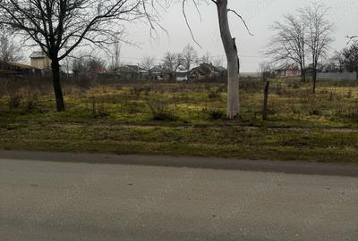 Inchiriez teren Galateni Teleorman Inchiriez teren Galateni Teleorman - 2