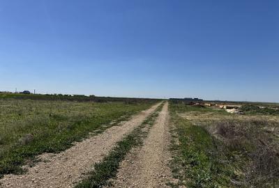 Spațiu comercial, în Livada de Bihor - 4