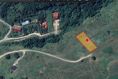 Teren Construcții intravilan de 1153 mp, în Micești - 7