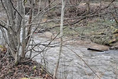 Teren de 5919 mp, în Vale - 3