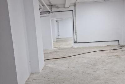 Cismigiu, sp com 386 mp - 3