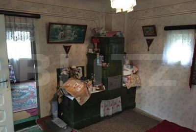 Casa de vacanta din lemn, sat Magura, Bezdead - 17