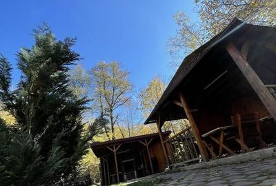 Casă cu 4 camere în Avrig - 6