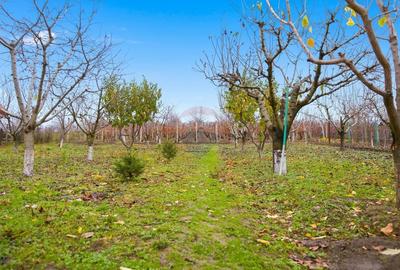 Casă individuală cu 2 camere cu Teren 2093 Mp în Costuleni - 6