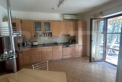 Casă cu 6 camere cu Teren 3982 Mp în Remetea Mare - 13