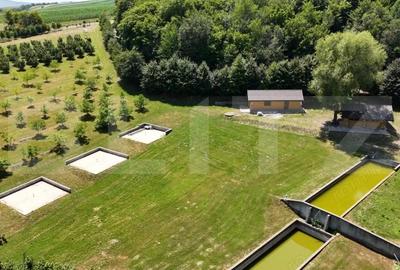 Spațiu comercial, de 56 mp, în Central - 12