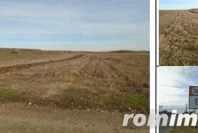 Teren Extravilan Arabil Ghimpati, ID: R1964858 - 4