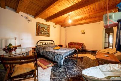 Vanzare vila cu 12 camere pe teren de 700 mp, în inima naturii  Comision 0% - 13