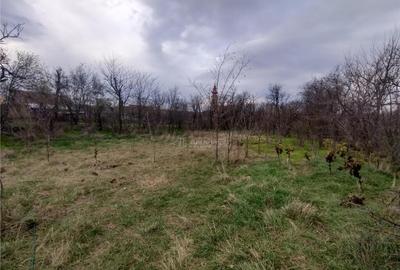 Berliste, Casa pt 2 Familii, la Sosea, Pret Negociabil - 22