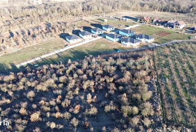 Spațiu comercial, în Paleu