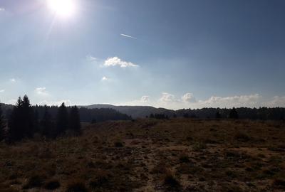 Ocazie unica la licitatie: Teren cu Potential Turistic Major in Poiana Brasov - 5