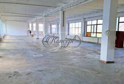 Hala depozitare/productie in Piata 1 Mai - 3