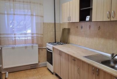 Apartament cu 2 camere semidecomandat în Craiovița Nouă - 4