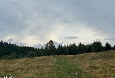 Teren de 14526 mp, în Gura Râului - 1