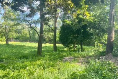 Teren de 10000 mp, în Vicovu de Sus - 4