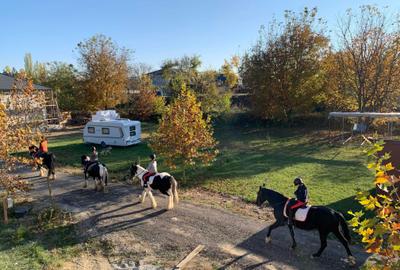 Spațiu comercial, în Joița - 7