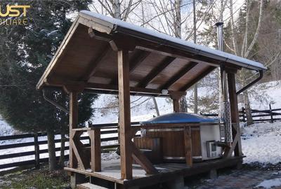 Cabana la munte, Colibita, jacuzzi, foisor - 20