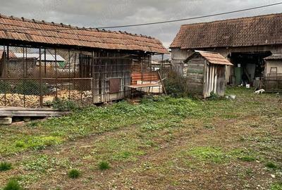 Vand Casa Cisteiu de mures - 4