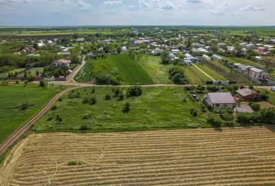 FRUMUSANI - POSTAVARI, TEREN 1500 MP, FRONT 30 M ! - 22