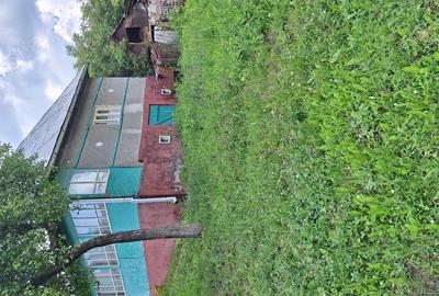 Casă cu 2 camere în Tioltiur - 5