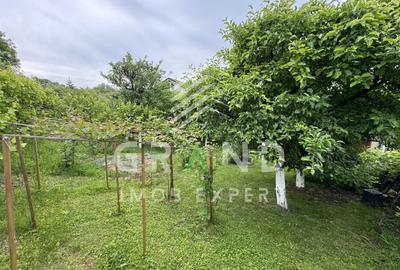 Casa cocheta cu gradina superba si garaj-Dambul Rotund/Corneliu Coposu-Cluj - 38