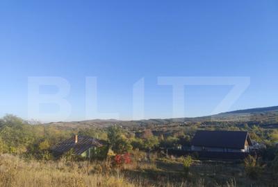 Teren intravilan 1700 mp, la asfalt, in Goruni-Tomesti - 1