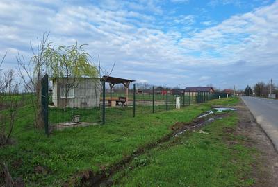 Spațiu comercial, în Moisica - 1