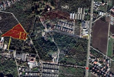 Teren Construcții intravilan de 19470 mp, în 1 Decembrie