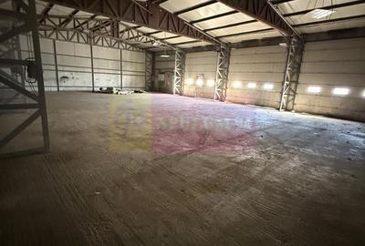 Hala Soseaua Bucuresti- Magurele- planul 2. - 4