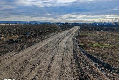 Teren de 600 mp, în Șerbănești - 7