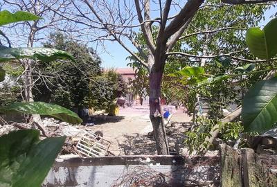 Teren foarte bun pentru construcție casă în Voluntari - 18