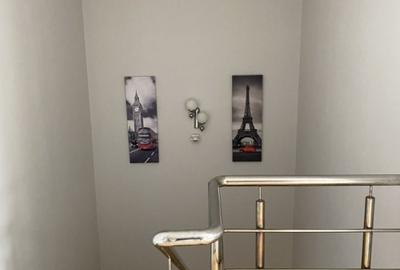 Casa cu 9 camere - panouri fotovoltaice, Timisoara - Bogdanestilor - 15