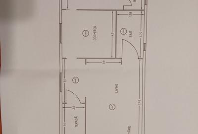 Casă cu 4 camere cu Teren 645 Mp în Sântana de Mureș - 5