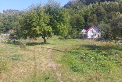 Spațiu comercial, în Achimețești - 5