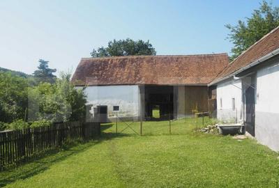 Casa off-grid 5 camere Sangatin - 12