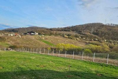 Teren intravilan cu proiect constructie casa, situat in Mintia - 8