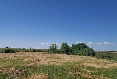 Casa si teren vanzare Catanele - 1