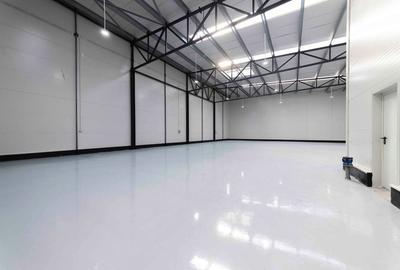Zona Drumul Intre Tarlale - hale noi 600mp - 3