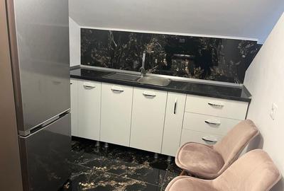 Casă cu 2 camere în Trivale - 7