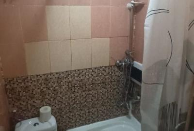 Garsonieră în Paltin - 3