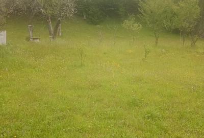 Casă cu 6 camere cu Teren 3250 Mp în Avram Iancu - 5