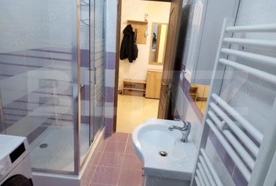 Apartament de inchiriat, 2 camere decomandat, zona T. Vladimirescu - 10