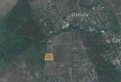 Teren Ostratu-Tamasi // OPORTUNITATE INVESTITII Teren Ostratu-Tamasi // OPORTUNITATE INVESTITII - 3