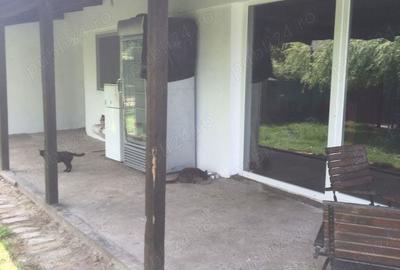 Casă cu 4 camere cu Teren 1781 Mp în Checea - 5