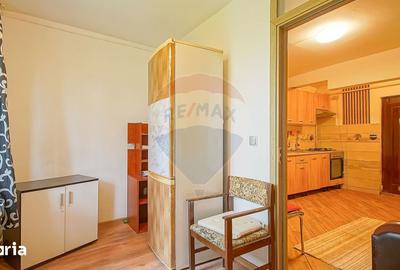 Apartament cu 2 camere, mobilat în ISR - 12