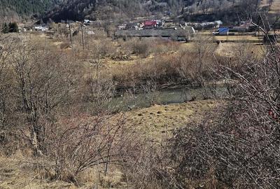 Teren de 28000 mp, în Tulgheș - 8