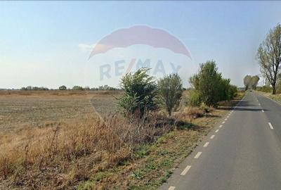 Teren intravilan 7.9 ha, Afumati, deschidere 120m Soseaua Stefanesti - 4