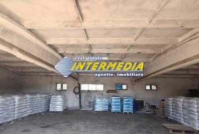 Casă individuală cu 20 camere cu Teren 35000 Mp în Pianu - 1