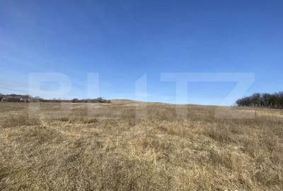 Teren de 140551 mp, în Recea - 6